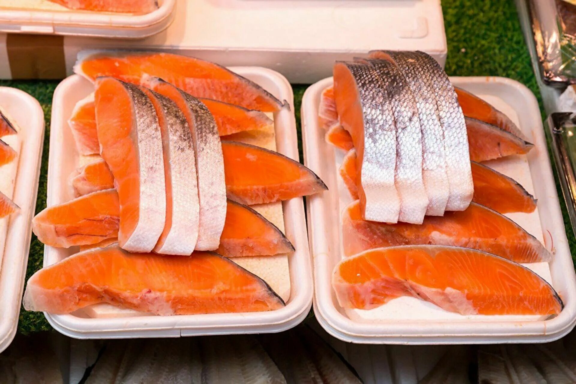 Лосось или семга в чем разница. Fish Salmon форель. Лосось форель семга. Сурими рыба. Камчатская семга.
