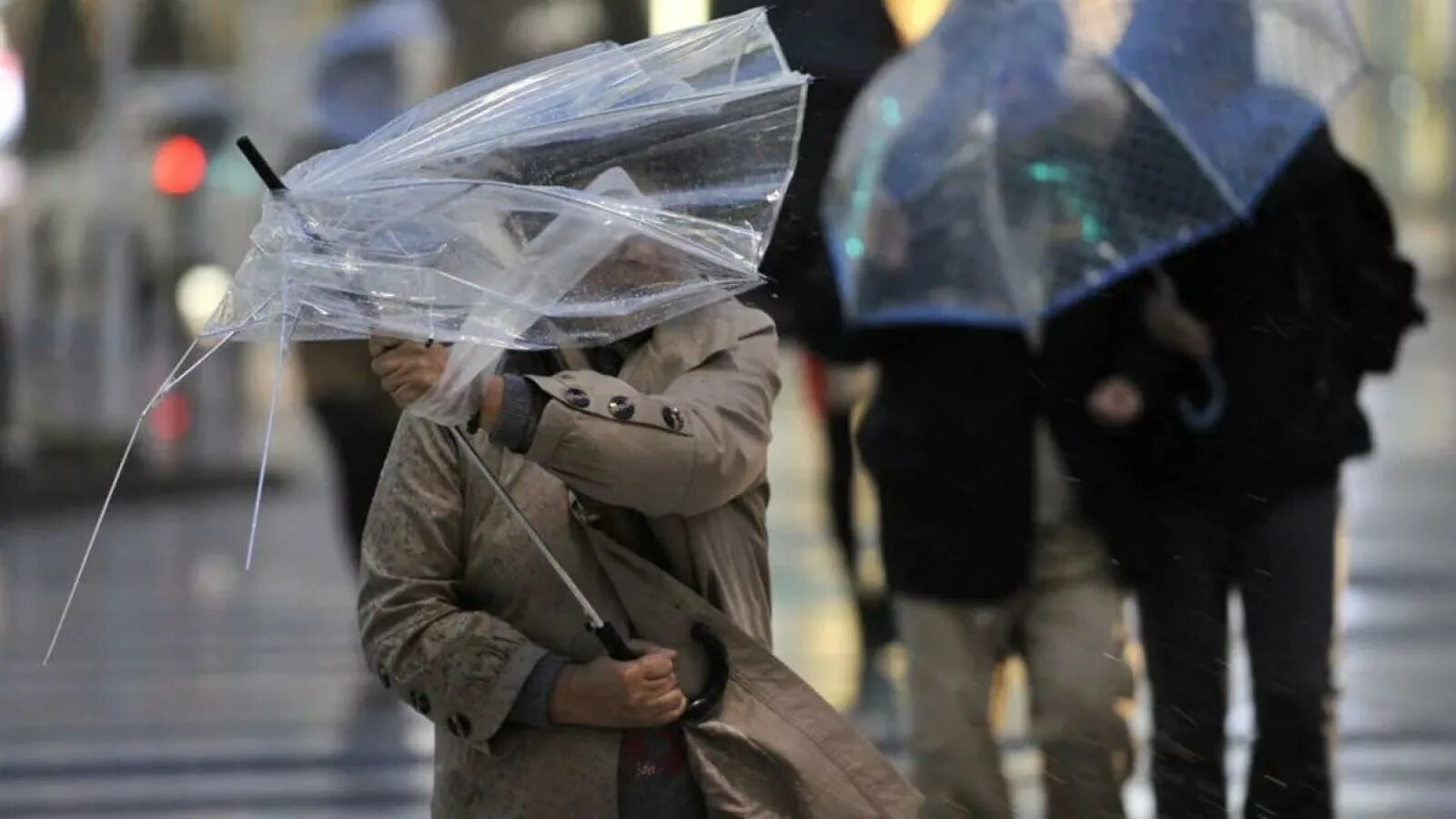 Сильный ветер. Штормовое предупреждение это. Штормовое предупреждение. Штормовое предупреждение это. Штормовое предупреждение это.