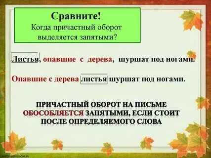 Листья разбор номер 4