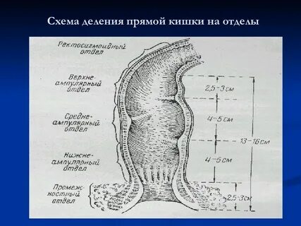 Какие исследования прямой кишки
