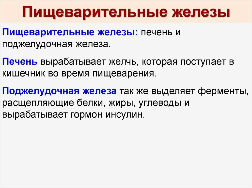 Пищеварительные железы. Основные пищеварительные железы. Функции пищеварительных желез. Пищеварительные железы общая характеристика.