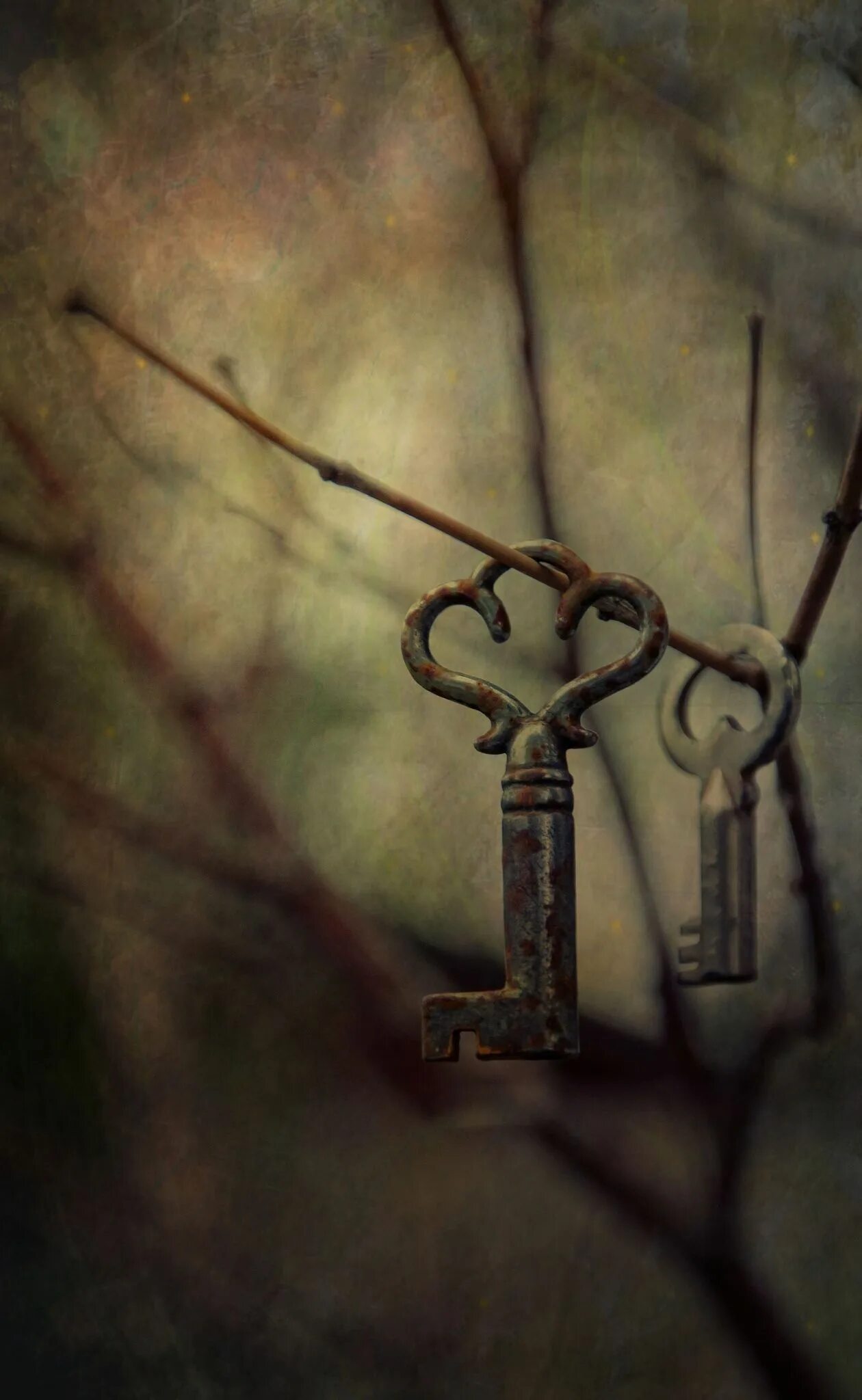 Key to the past. Старинный ключ. Красивый старинный ключ. Старинный ключ в живописи. Винтажные ключи.