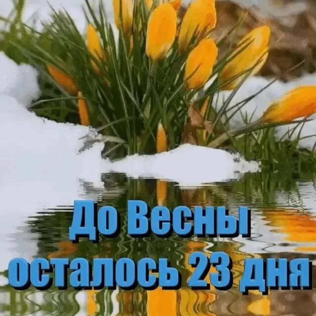 До весны осталось. До весны дней. Несколько дней до весны.