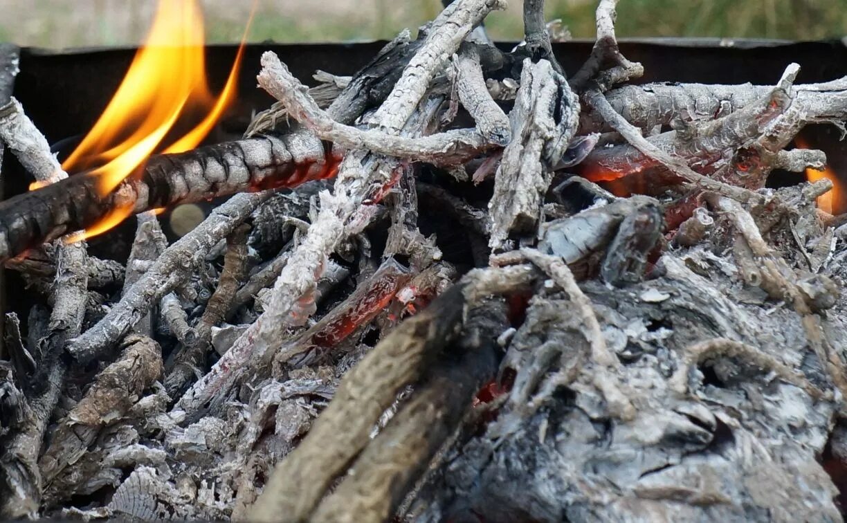 Тушите костер в лесу. Тушить костер. Тушу на костре. Мясо на вертеле на костре. Мясо на вертеле на костре.