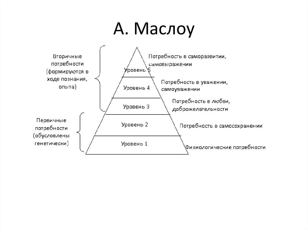 Теория маслоу уровни