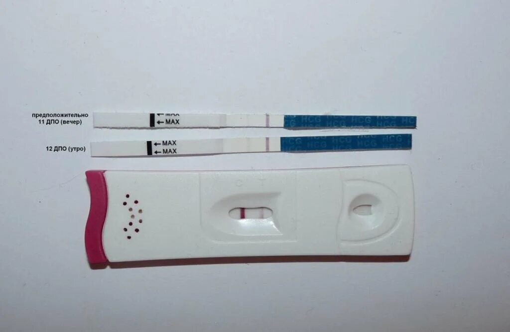 10-11 дпо «бт 37,5». 31 день цикла слабая вторая полоска. 10 дпо бт. 13 дпо бт 36. 10 день после овуляции.