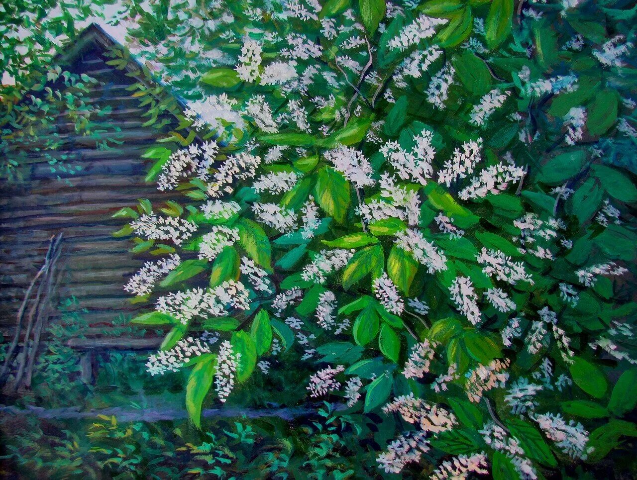 Рисунок к стихотворению черемуха 3 класс. Иллюстрация к стихотворению сергея есенина черемуха. А. Иллюстрации сергея александровича евсения черемуха. Черёмуха душистая с весною расцвела иллюстрация к стихотворению.