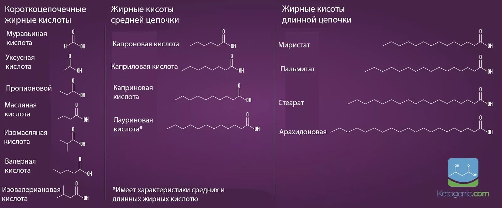 Источники омега 9 жирных кислот тест. Короткоцепочечные жирные кислоты. Длинноцепочечные и короткоцепочечные жирные кислоты. Насыщенные жирные кислоты короткоцепочечные. Короткоцепочечные жирные кислоты в кишечнике.