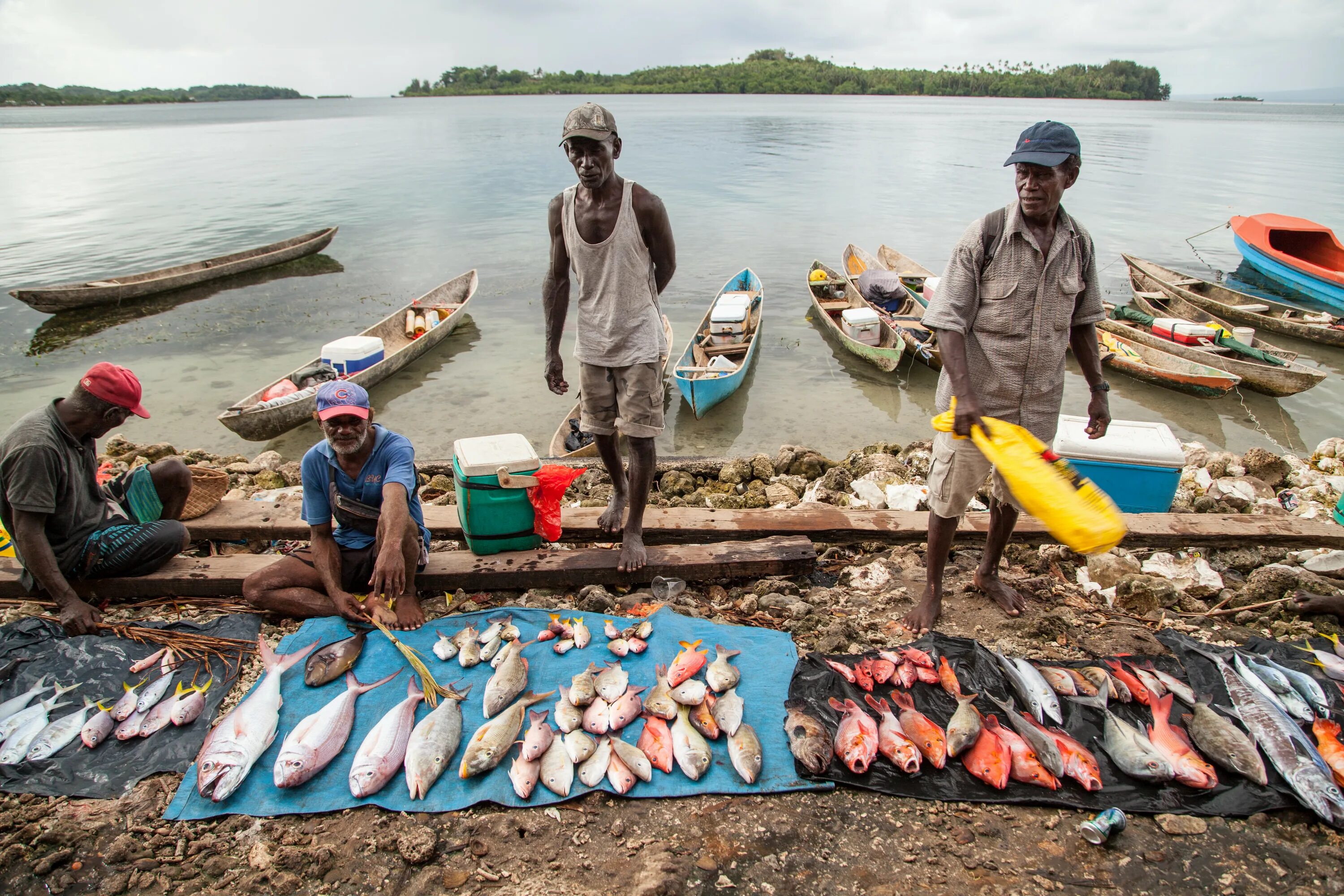 Где добыть рыбу. Соломоновы острова экономика. Рыболовство. Рыболовство это сельское хозяйство. Рыбный промысел.
