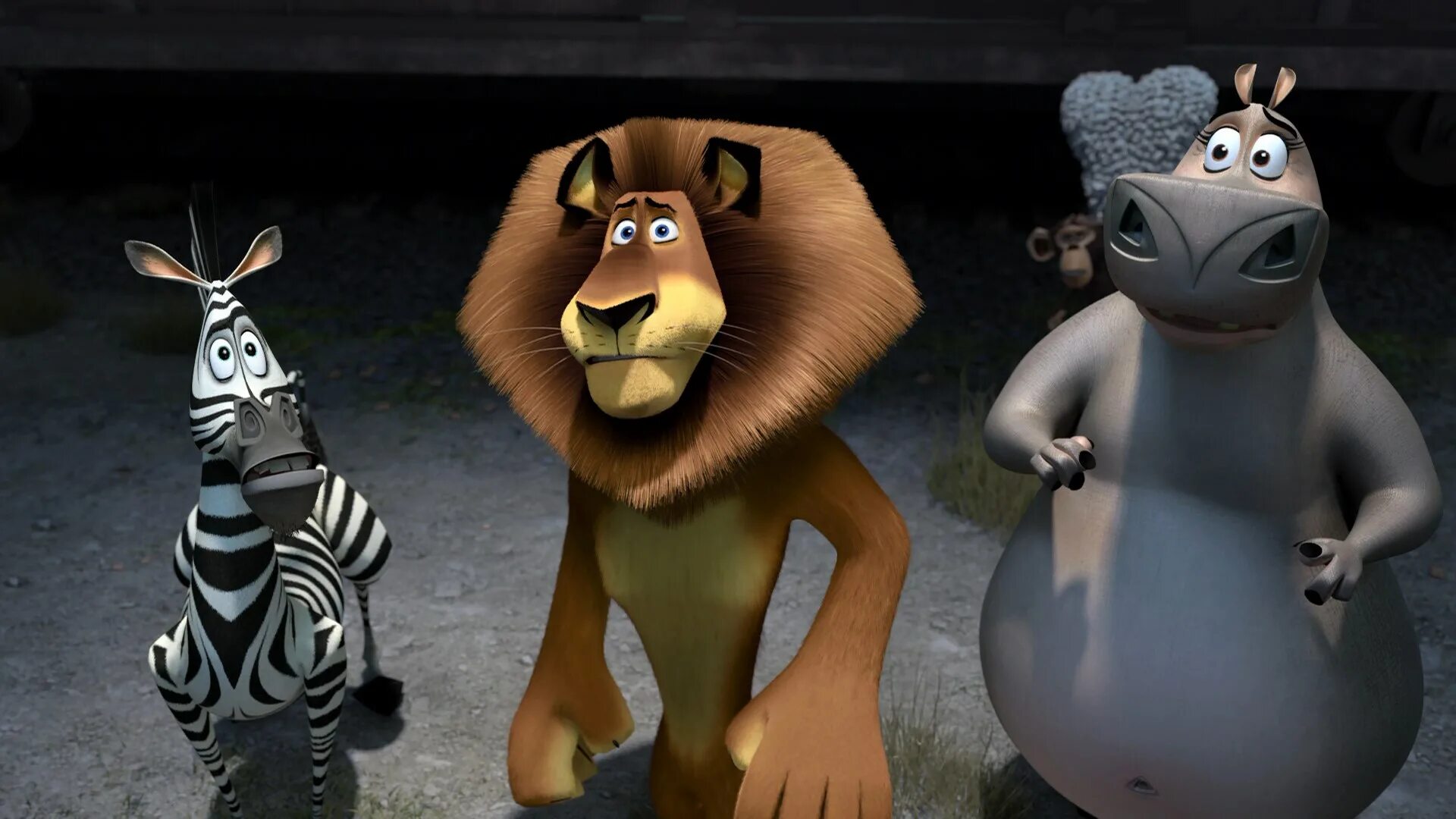 Персонажи из мультика мадагаскар. Основной персонаж мадагаскар. Основной персонаж мадагаскар. Мадагаскар мультик мадагаскар мультик. Мадагаскар мультфильм 2005 зебра.