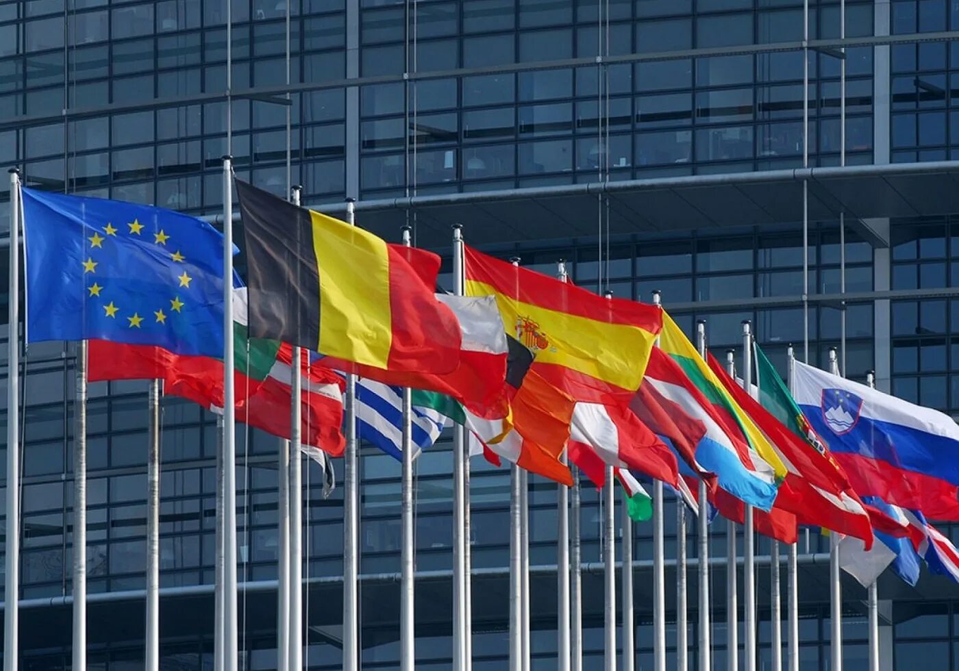 Европейский союз страны россия. Международная организация ЕС. Совет Европы и Европейский Союз. Международные европейские организации. Флаг Евросоюза.