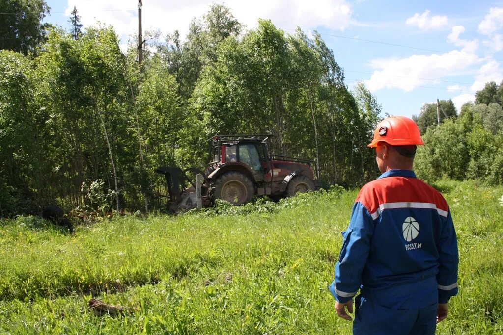 расчистка вл. расчистка трассы вл от деревьев. расчистка вл от деревьев и кустарников. расчистка вл. расчистка вл.