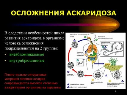 Что значит аскаридоз