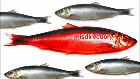Red herring