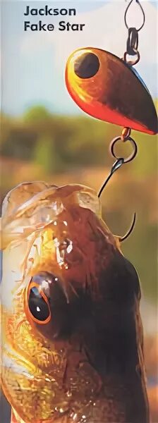 Jackson fake star