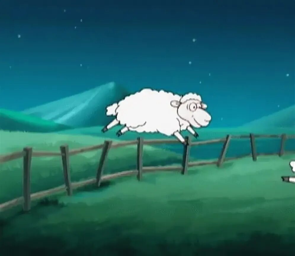 Could and sheep