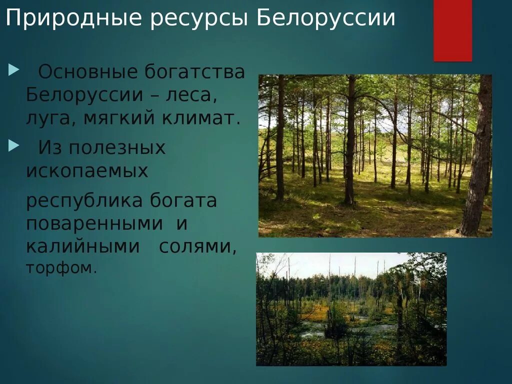 Природные ресурсы факты. Природные ресурсы Беларуси. Природные условия Беларуси. Природные богатства Беларуси. Природные ресурсы Беларуси кратко.