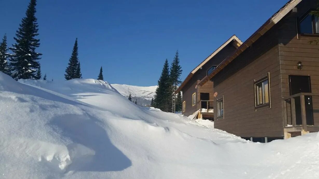 Шерегеш чепош. Шиповник шерегеш. Шерегеш строителей 68. Кафе элит томск басандайка. Шерегеш ул строителей.