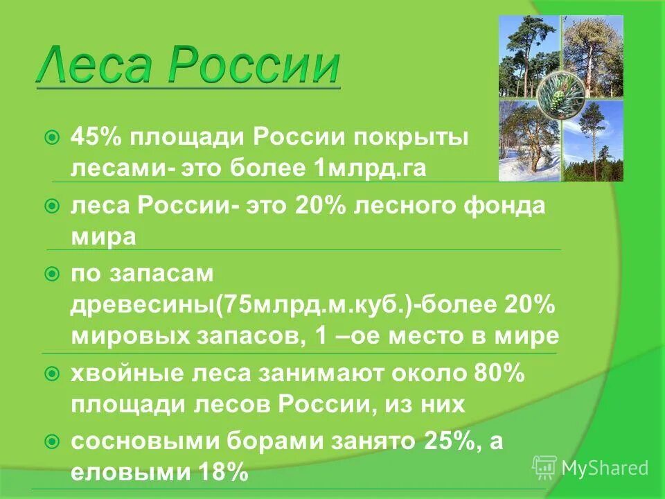 Площадь лесов земли составляет. Площадь лесов в россии. общая площадь лесов. общая площадь лесов мира. территория лесов в россии.
