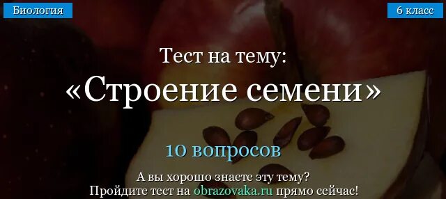 Тест семя. Тест семя 6 класс с ответами. Тесто семя. Тест на семечко.