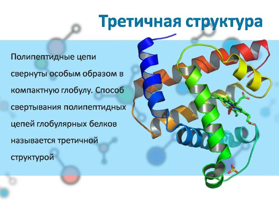 Цепочка белка. Третичная структура полипептидной цепи. структура белка в полипептидной цепи. белок структура цепь. схема полипептидной цепи белков.