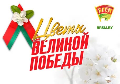 Цветы великой победы текст