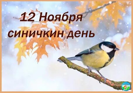 Синичкин день картинки поздравления