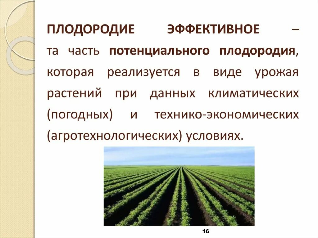 Повышение плодородие почвы называется