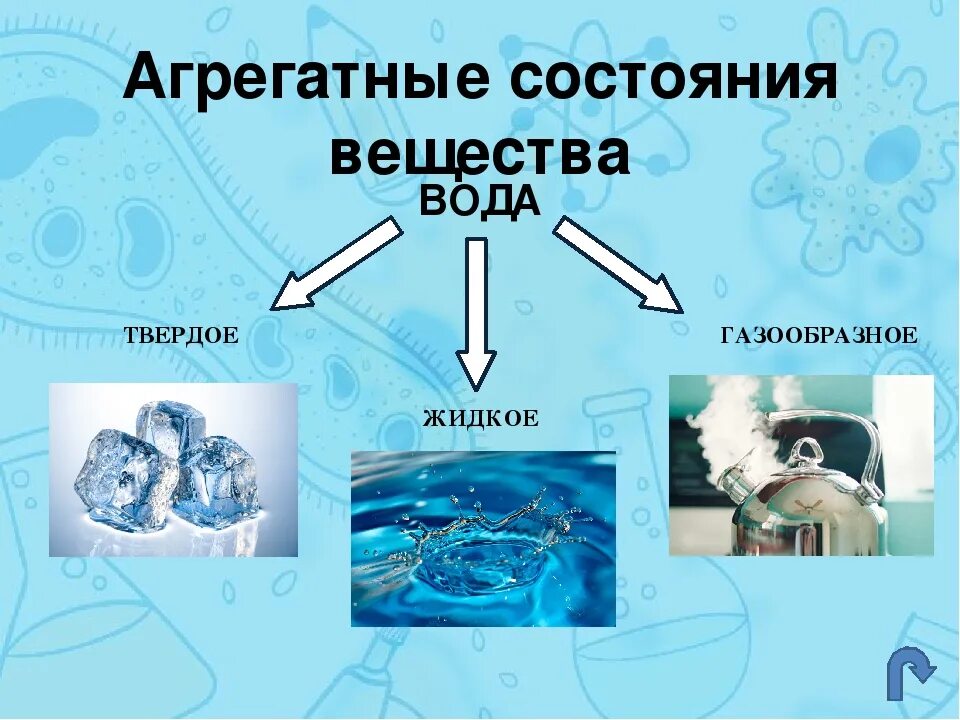 Переход воды в твердое состояние. Агрегатные состояния вещества. Аграрные состояния веществ. Ашрегатный состояния вещества. Агриригатное состояние.