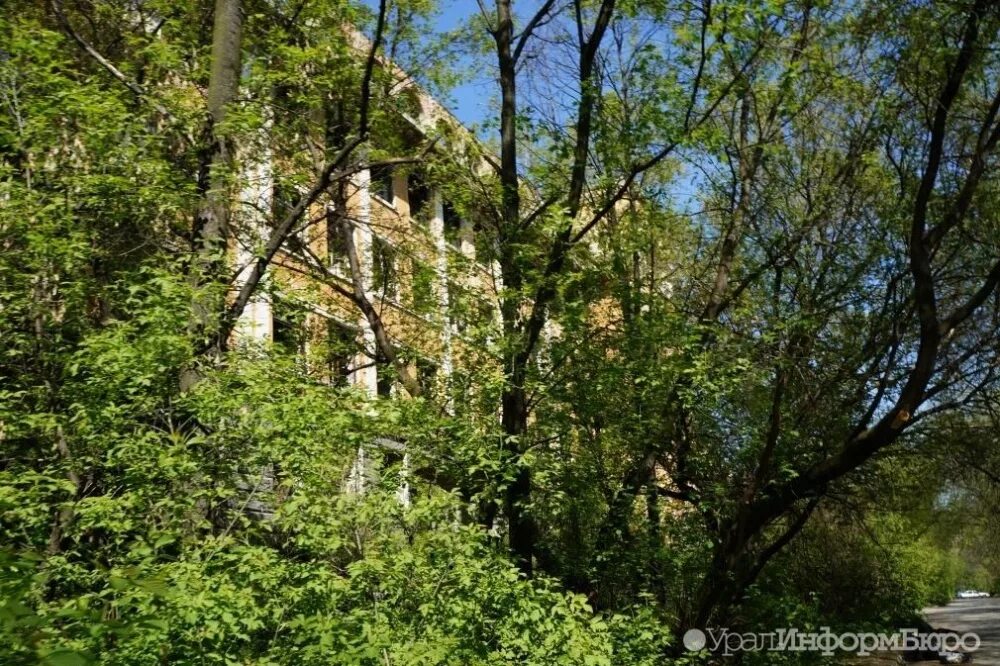 Зеленая роща работа вакансии. Зеленая роща работа вакансии. Зеленая роща работа вакансии. Парк зеленая роща екатеринбург реконструкция. Парк зеленая роща благоустройство екатеринбург.