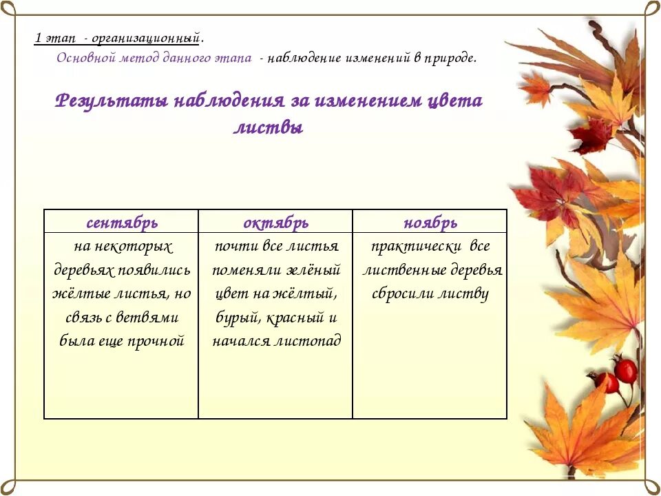 Листья заменить слово. Наблюдение за листопадом. Наблюдение за листьями. План наблюдения в природе осенью. Какие деревья меняют окраску листьев осенью.