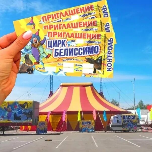 Цирк белиссимо новошахтинск. Цирк белиссимо фото. Цирк белиссимо. Цирк шапито франкони. Цирк белиссимо новошахтинск.