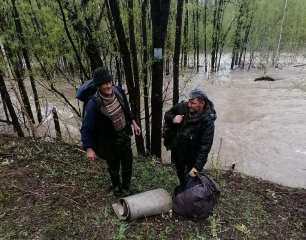 Сложные ситуации в лесу или на реке. Наводнения в Красноярском крае. Паводок в лесу. Наводнения в лесах.