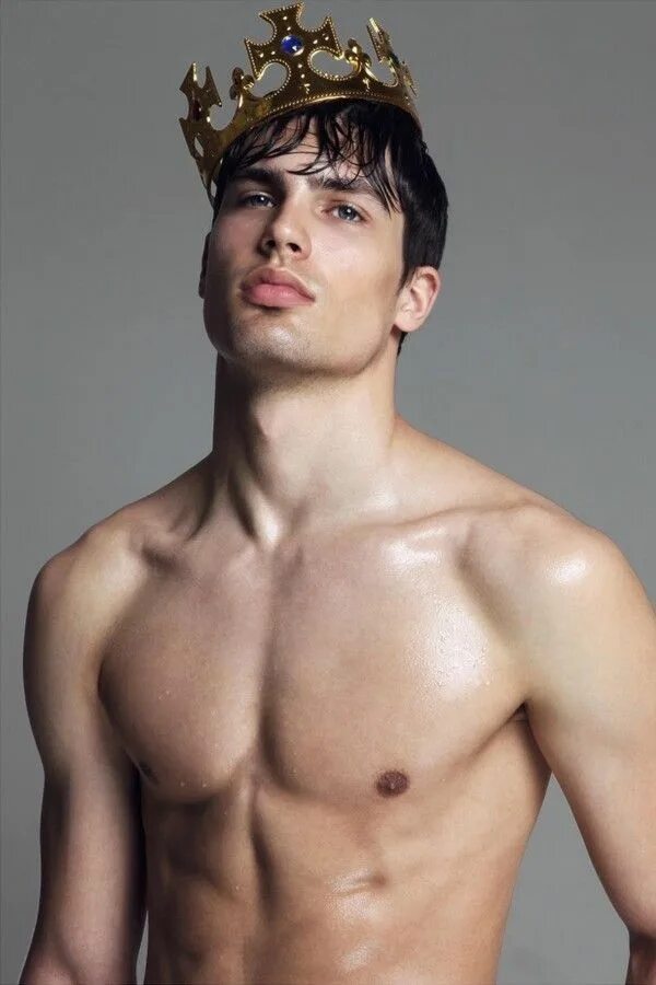 Prince model