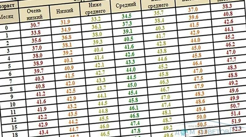 Объем головы и грудной клетки у детей. Окружность головы у детей. Окружность головы норма. Окружность головы ребенка по годам. Окружность головы в 6 месяцев