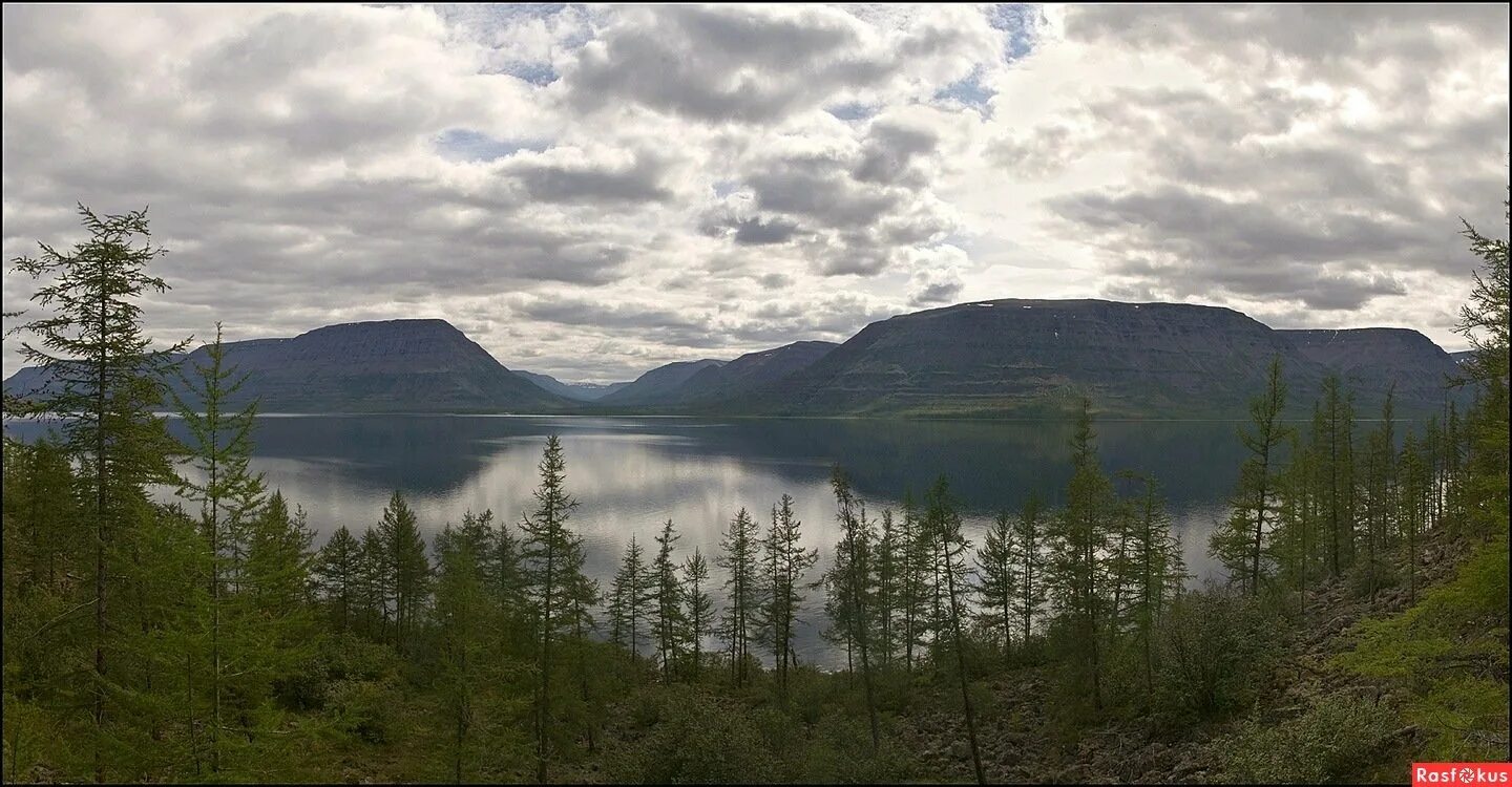 Тундра летом на таймыре. Таймыр северное сияние. Осень таймыр норильск. Таймыр норильск. Тундра норильск природа.