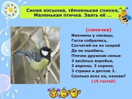 Стриж синица