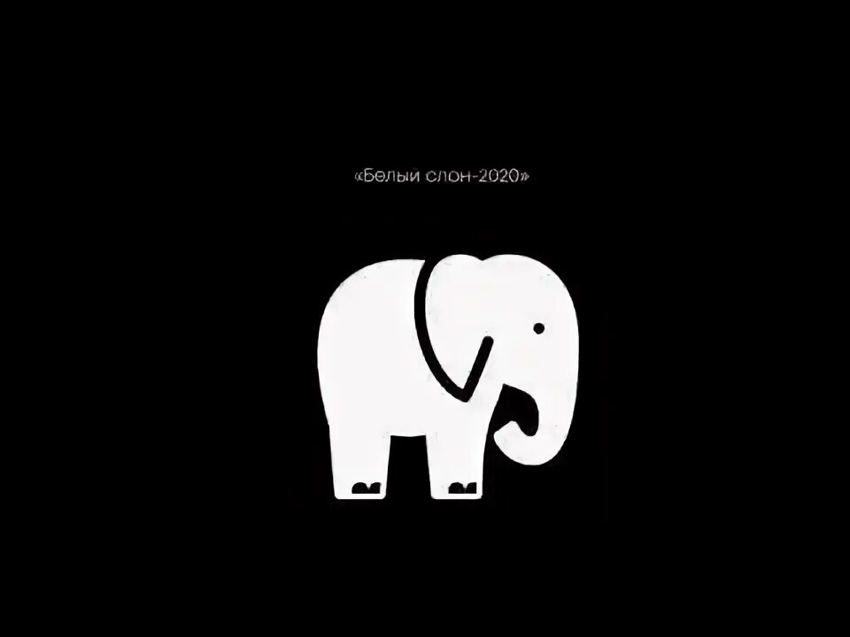 Слоны и музыка. Белый слон. Логотип анимал планет. Год белого слона. Elephant song.