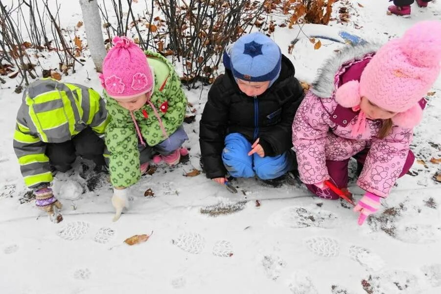 Прогулка в детском саду в младшей ноябрь. Дошкольники на прогулке. наблюдение на прогулке. дети на прогулке зимой в детском саду. весенние прогулки с детьми.