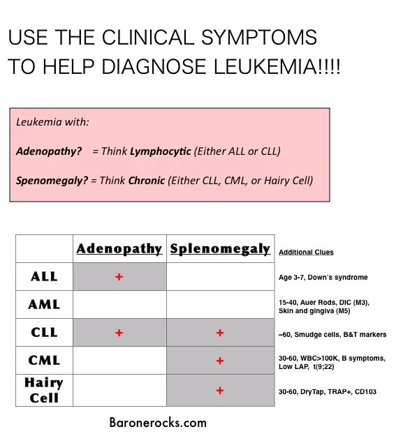 Hairy Cell Leukemia люди. AML diagnosis. Acute myelogenous Leukemia diagnosis. Aml транзакции