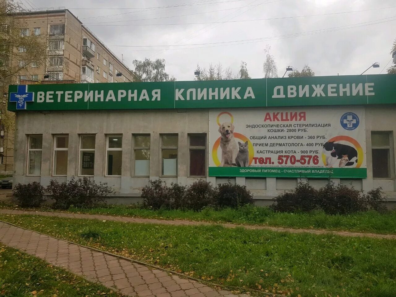 ветеринарная больница движение в ижевске. ветклиника движение ижевск. ветклиника движение ижевск на молодежной. ветеринарная лечебница ижевск воткинское шоссе. ветклиника движение ижевск.