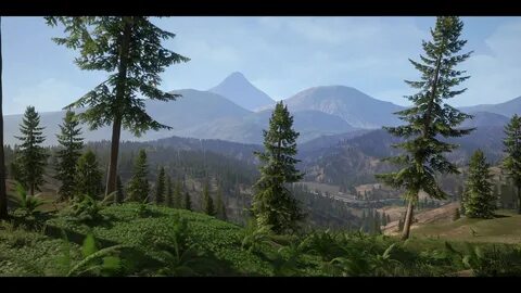 Forest pack 2023 max