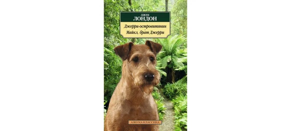 Джерри островитянин джек лондон книга. Джек лондон джерри островитянин. Ирландский терьер джек лондон. Джек лондон джерри островитянин. Джек лондон джерри островитянин фильм.