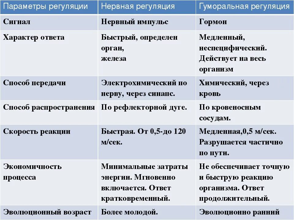 Нервная регуляция функций осуществляется. Сравнение нервной и гуморальной регуляции таблица 8. таблица гуморальная регуляция 8 класс по биологии. характеристика нервной и гуморальной регуляции таблица. нервная и гуморальная регуляция таблица.