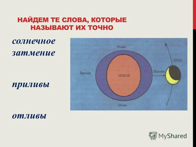 слова из слова затмение. слова из слова. игра слова словечки. слова из слова затмение. слова из слова затмение.