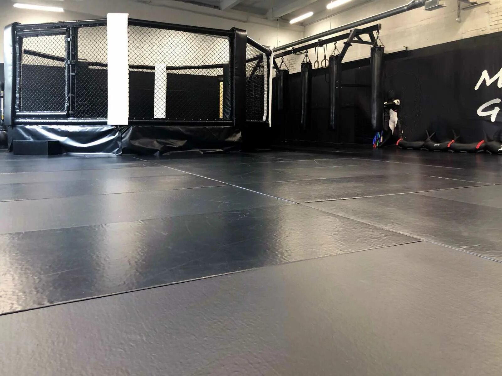 Фитнес на пионерской королев. Ego fitness королев. Эго фитнес королев. Эго фитнес пионерская 13. Эго фитнес королёв пионерская улица 13 расписание.