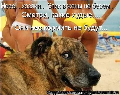Она хозяин чего