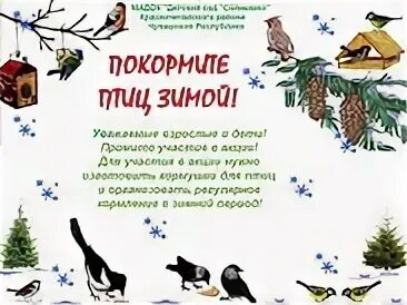 15 января день птиц зимующих в детском