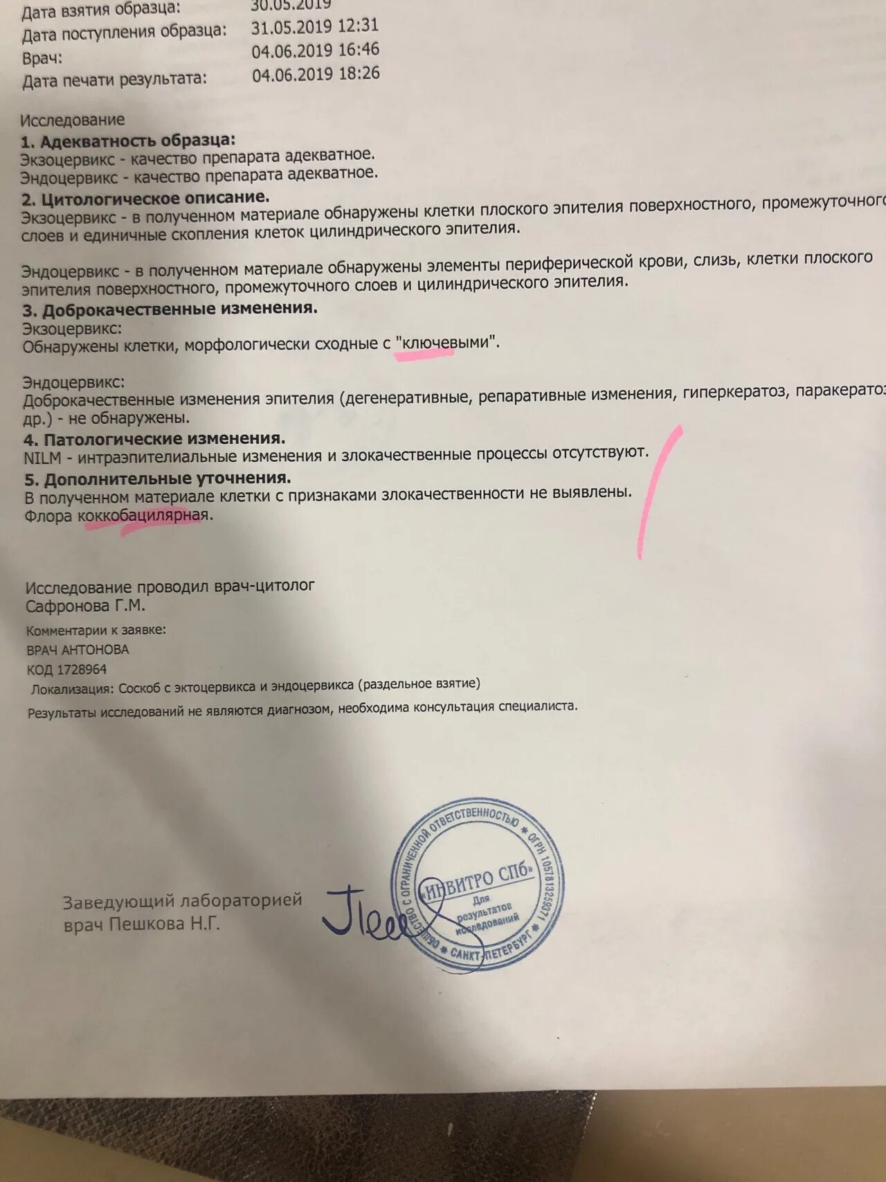 Цитограмма без интраэпителиальных поражений nilm. Цитограмма без интраэпителиальных поражений nilm