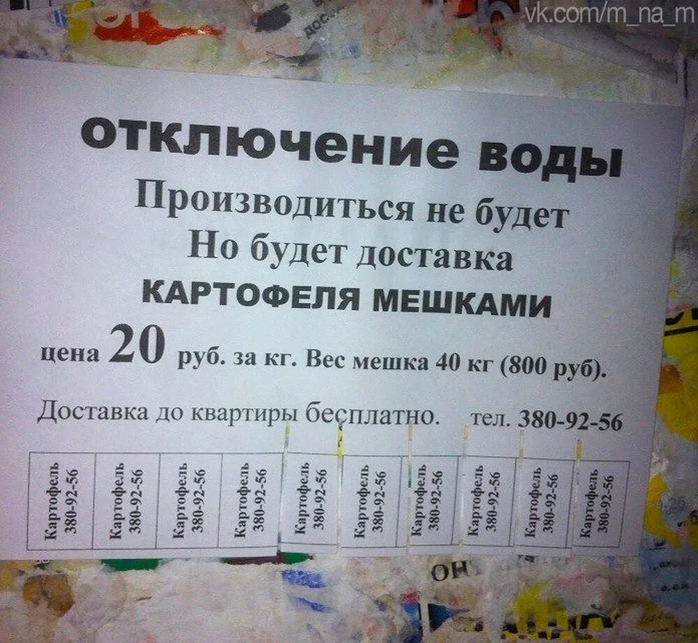 Где дать объявление. Объявление. интересные объявления. объявление для привлечения внимания. смешные объявления фото.